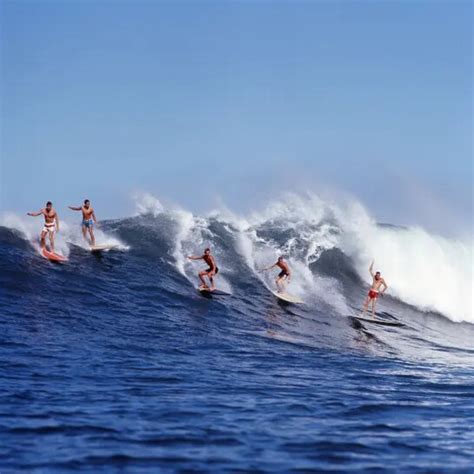 LeRoy Grannis: platinum anniversary | Meer