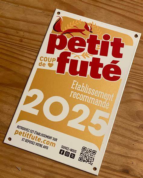 Petit Futé Inde du Nord. Edition 2024-2025 - Petit Futé
