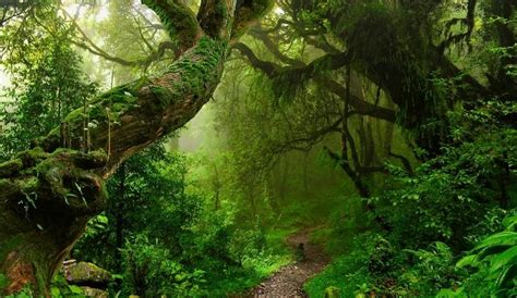 Chandrashekar, A Reclusive Karnataka Man Living In His Ambassador Car ...