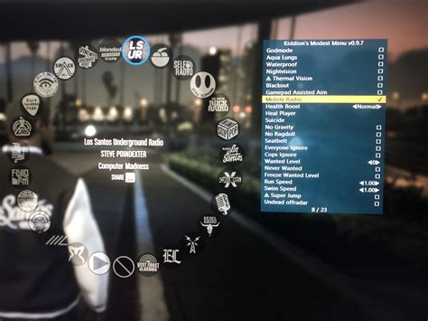 Kiddions Tutorial 的图像结果