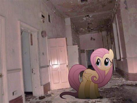 mlp fluttershy icon backrooms | Флаттершай, Милые рисунки, Хиппи обои