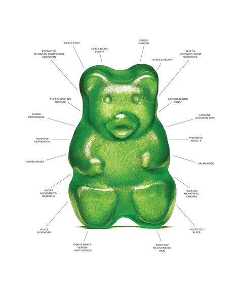 Can Dogs Have Cbd Gummies