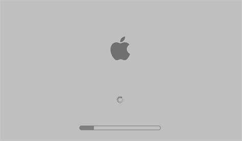 Image result for OS Loading Process in MacBook
