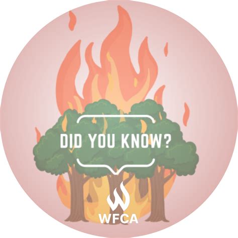 Wildfire Facts | WFCA