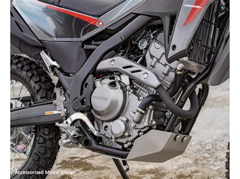 2025 Honda CRF300LS, Fayetteville TN | New Motorcycles for Sale: Specs ...