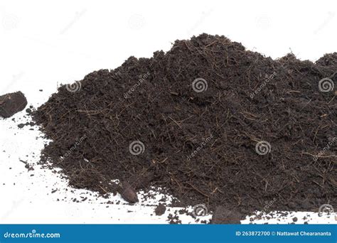 Black Fertilize Soil Ready To Planting, Good Organic Soils with Root ...