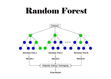 Random Forest Regressor 的图像结果