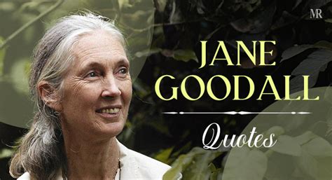 engineering quotes 的图像结果