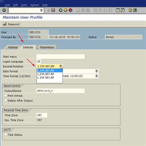 Image result for SAP Code Format