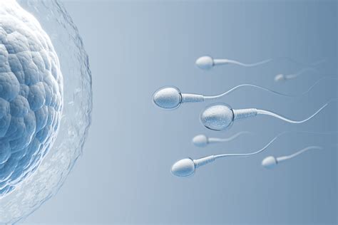 Does Ozempic Affect Fertility? - Doctronic