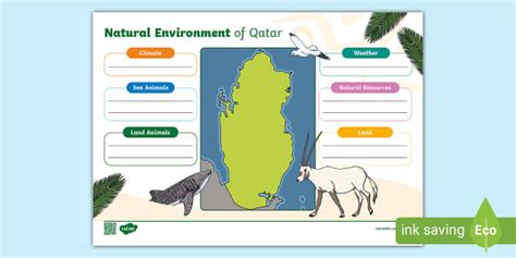 The Natural Environment Of Qatar Worksheet