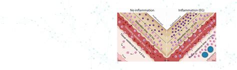 Immuno Engineering Lab – Immuno Engineering Lab