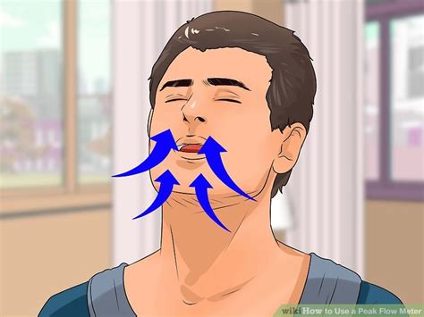 Image result for Peak Flow Meter Chart How to Use