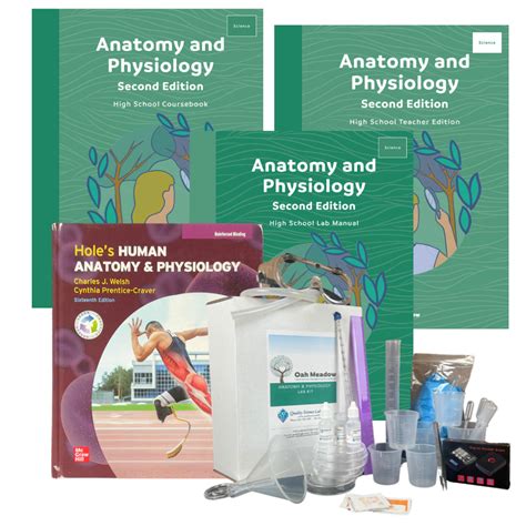 Anatomy And Physiology Class