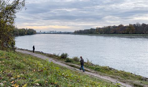 iPhone 12 Pro Camera Tutorial 的图像结果