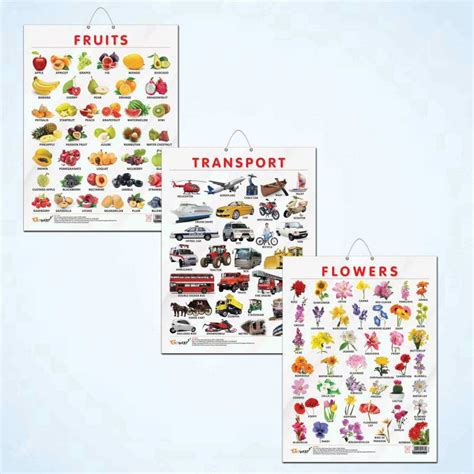 FRUITS CHART GLOSS LAMINATED, FLOWERS CHART GLOSS LAMINATED, and ...