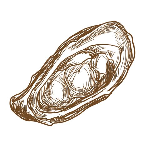 Draw Pearl Shell 的图像结果