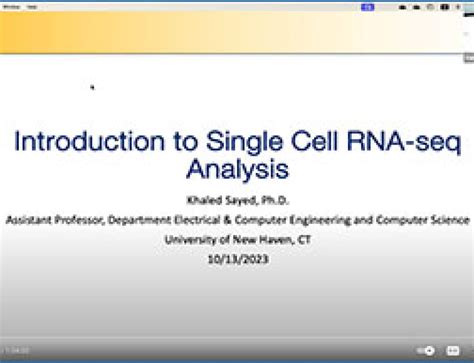 RNA-Seq Analysis Tutorial 的图像结果