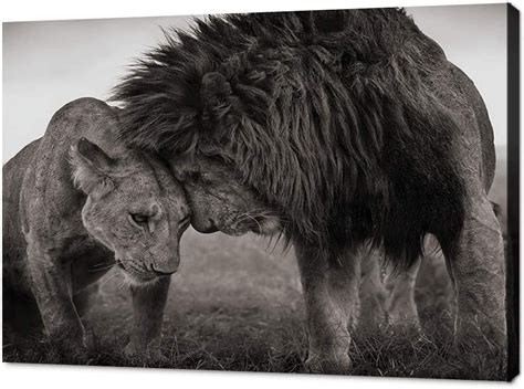 LXHB Wild Animals Canvas Wall Art Pictures Lion and Lioness Home Decor ...