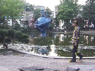 Image result for Deformable Object Tracking