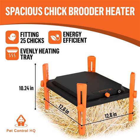 Image result for Battery Brooder