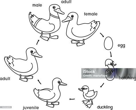 Image result for Rhythm Example Figurative Language Examples