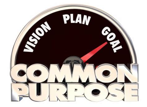 Partner 的图像结果