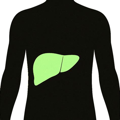 HFP Lab Test 的图像结果