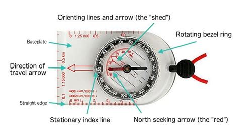 Image result for Compass Basics For Dummies