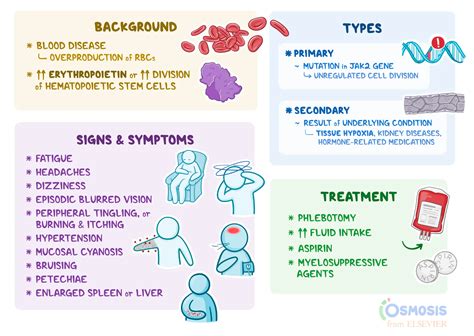 Primary Causes Of Polycythemia Explained: What You Need To Know