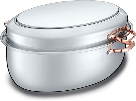 Amazon.com: All-Clad Specialty Stainless Steel Covered Oval Roaster 3 ...