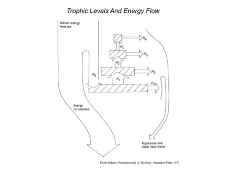 Examples of Energy Flow 的图像结果