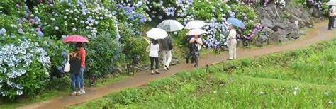Odawara Tourism (2024): All You Need to Know Before You Go