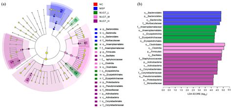 Bidirectional Effects of Mao Jian Green Tea and Its Flavonoid ...