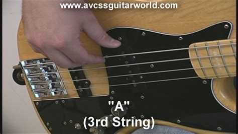Image result for 5 String Bass Beginner Lessons