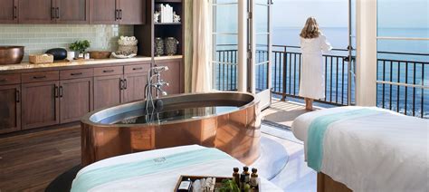 Spa Control Panel Overlay 的图像结果