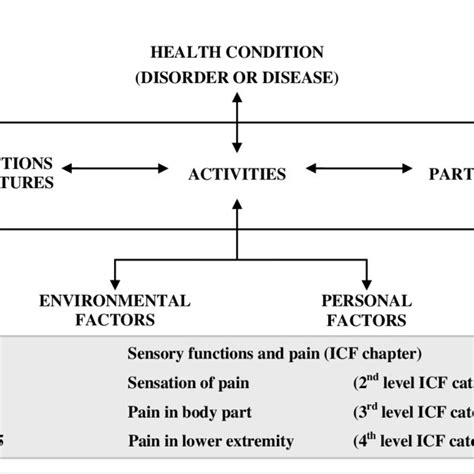 Image result for International Classification of Functioning Ans Disability Model