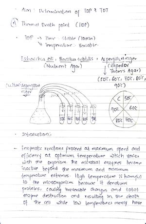Thermal death time - B her mal Death Time CTDT ime- Vaviable ...