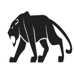 PAI TURBO KIT : Amazon.in: Car & Motorbike