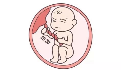 孕期胎儿缺氧会有这几种表现，关乎宝宝安危，孕妇不要大意 - 知乎