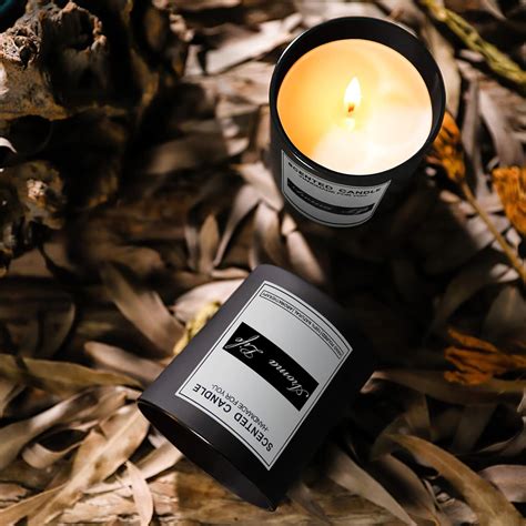 Buy 10oz, 8 Pack Thickened Glass Candle Jars with Metal Lids, Candle ...