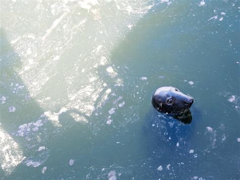 BUDERSAND HOTEL - GOLF & SPA - SYLT (Hornum) - Hotel Reviews, Photos ...