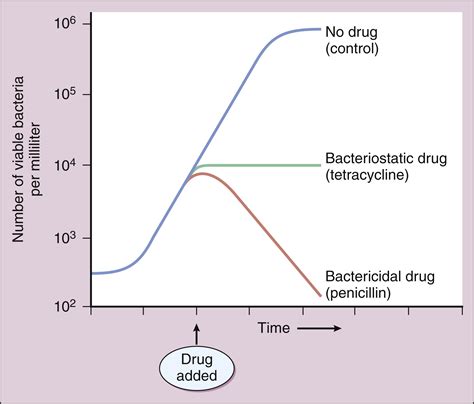 Antibiotics- Overview - Biology Ease