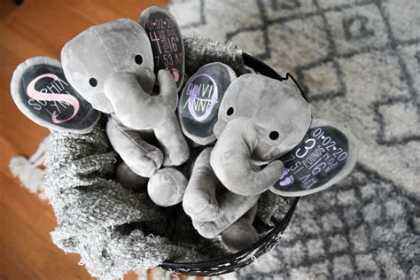 Image result for HTV for Beginners