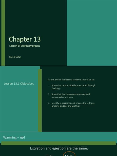 Image result for Chapter 12 Excretion