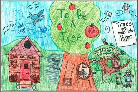 Image result for Project Learning Tree Activities