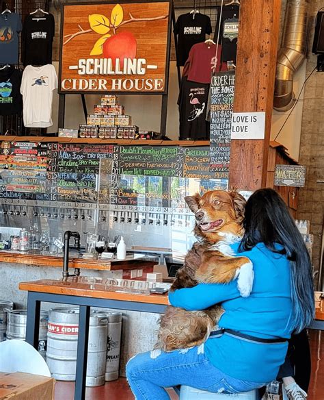 Seattle Cider House - Schilling Cider