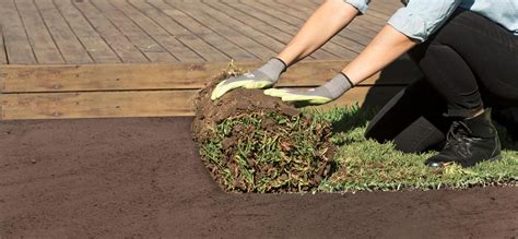 What Is The Best Time Of Year To Lay New Turf at Janet Wall blog