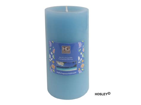 Hosley Highly Fragranced Caribbean Breeze 6Inchs Pillar Candle - Hosley ...