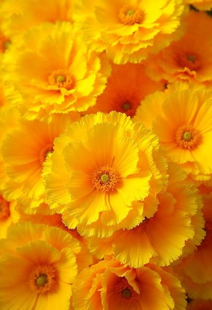 Pagina 10 | Immagini di Sfondo Fiori Gialli - Download gratuiti su Freepik